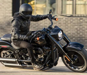 Bateria Fort Power de 18 Amperes: Potência e Confiabilidade para sua Harley Davidson